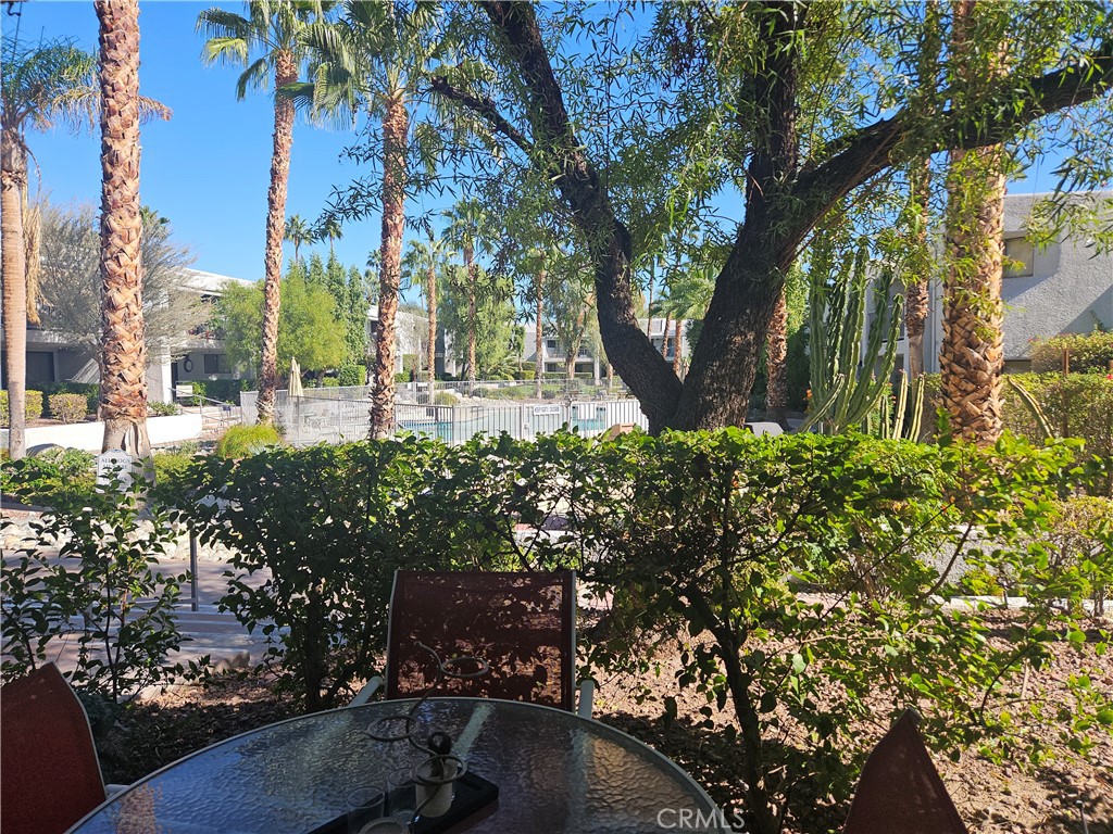 3155 Ramon Road, Unit 601 Palm Springs, CA 92264 - Photo 31 of 35 a view of a garden