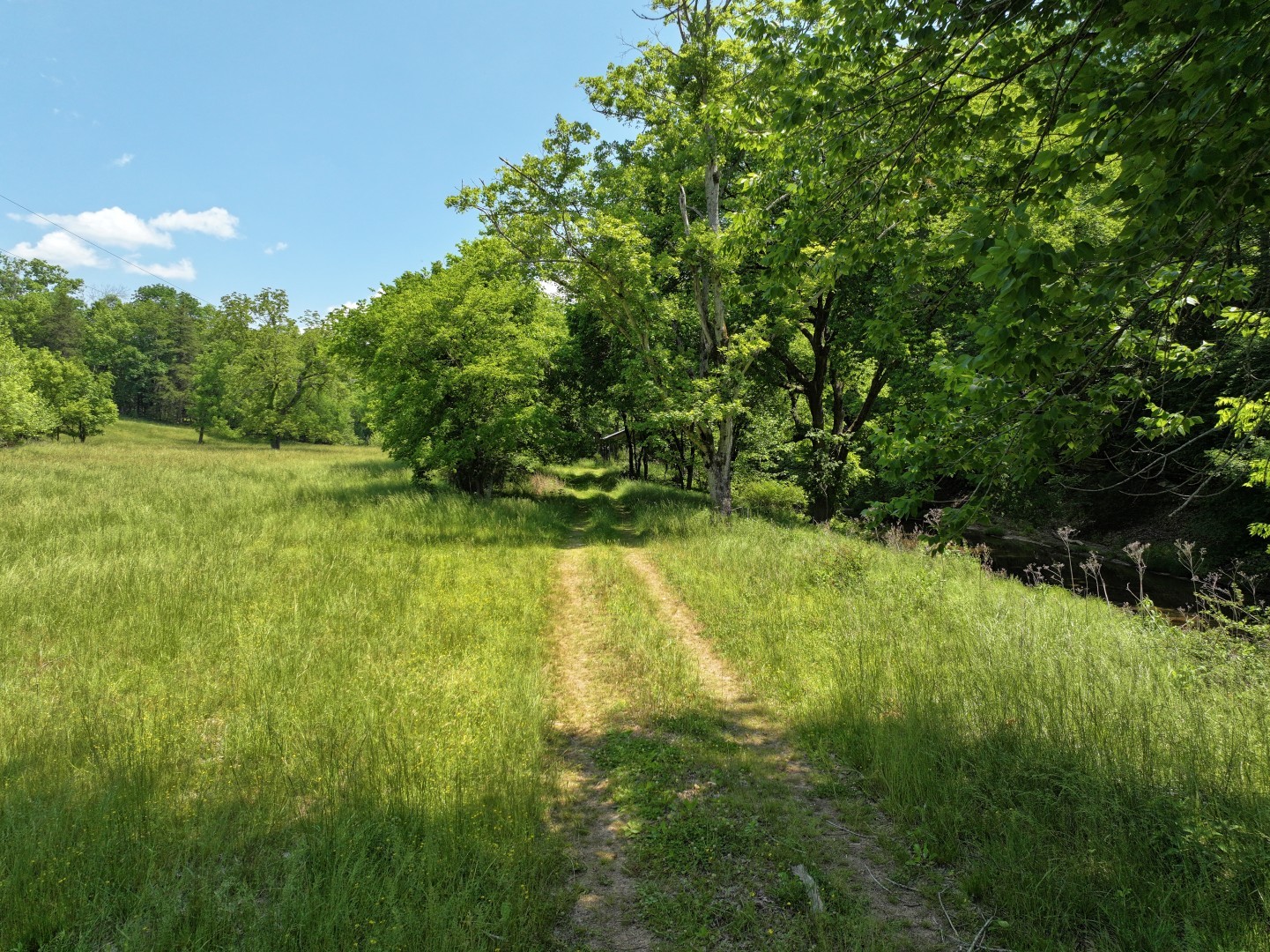 110 Wade Reed Road White Bluff, TN 37187 - Photo 45 of 80