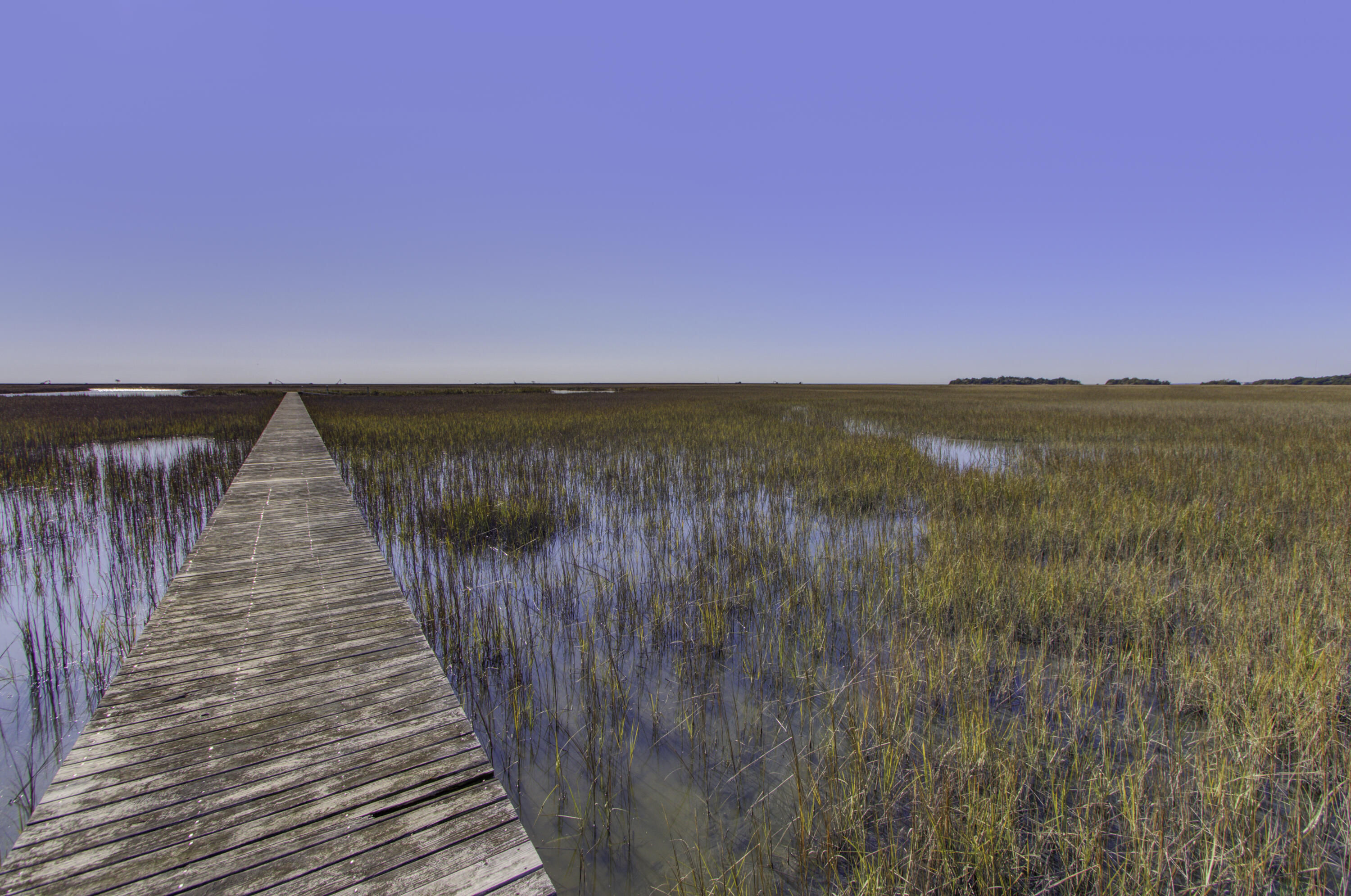 4 Morants Point Road McClellanville, SC 29458 - Photo 12 of 25 Morants Point Lot 4, Morants Point SC (8