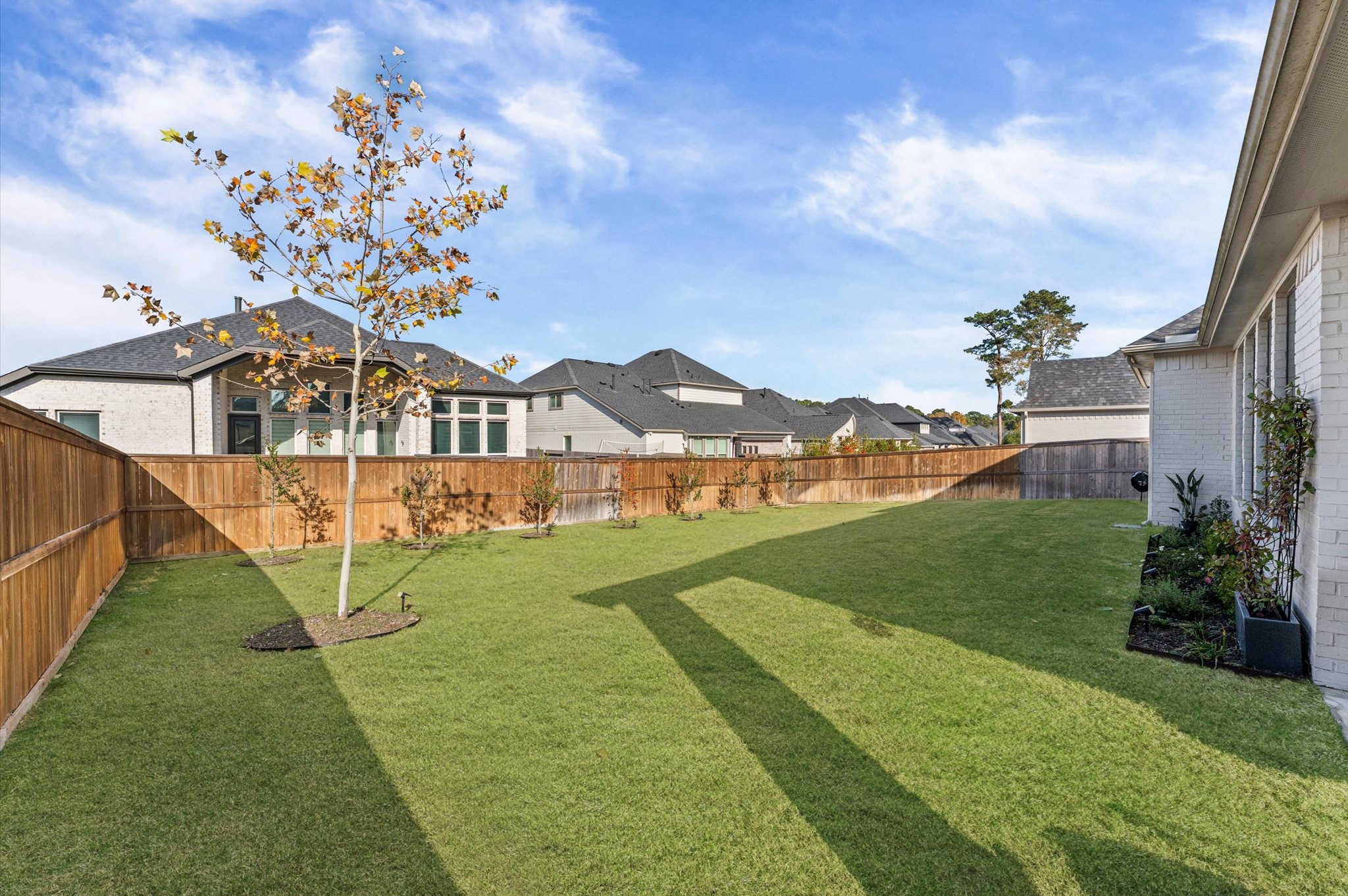 15470 Ringbill Way Magnolia, TX 77354 - Photo 46 of 50 a view of a house with a yard
