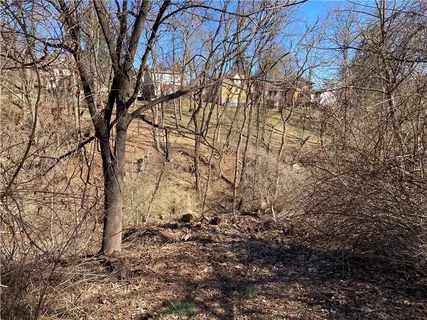 a view of a yard with lots of bushes
