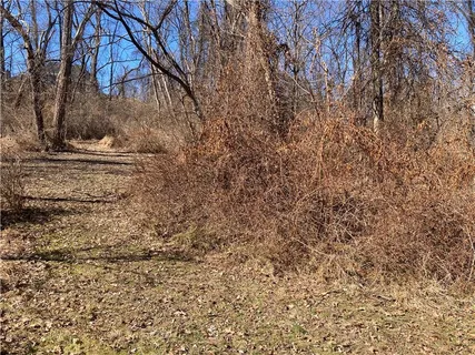 a view of covered with snow