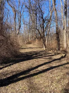 a view of a yard with wooden fence