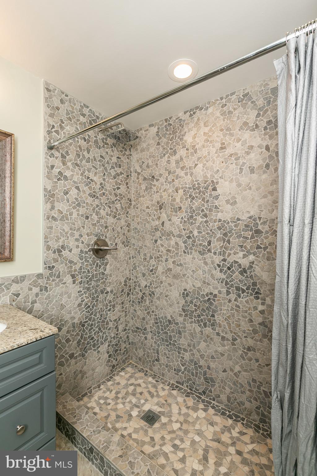 1830 Hillside Road Stevenson, MD 21153 - Photo 33 of 46 SPACIOUS WALK IN SHOWER