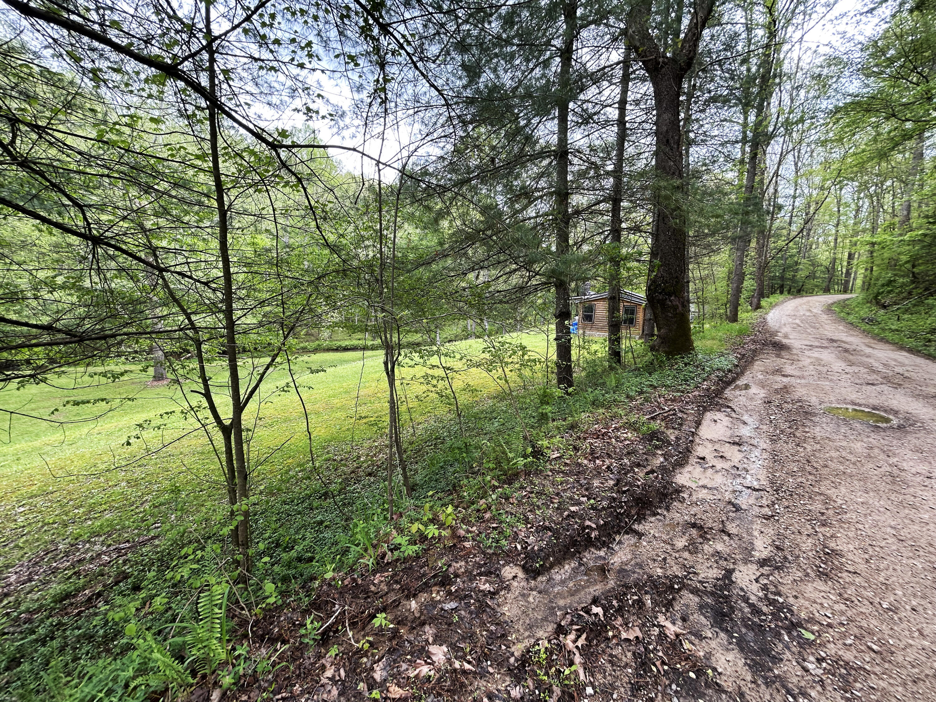 1180 Raccoon Creek Road Sandgap, KY 40481 - Photo 52 of 60 IMG_2565