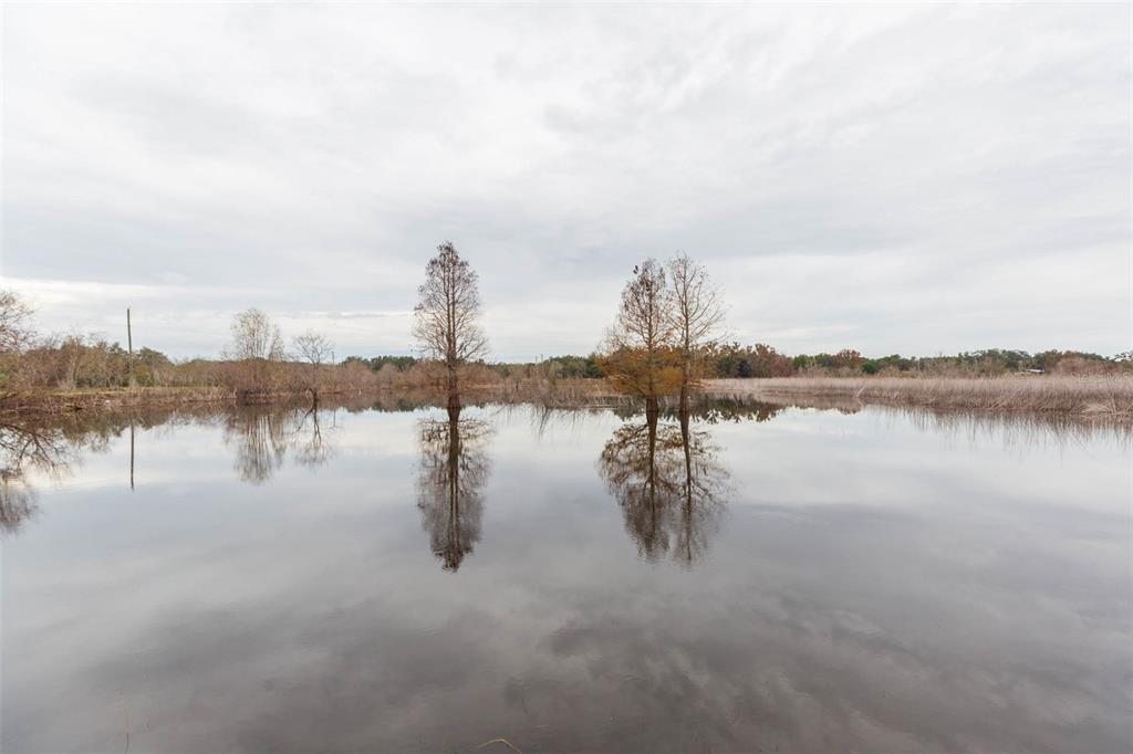 12628 Fort King Road Dade City, FL 33525 - Photo 37 of 59 a view of a lake with houses in the back