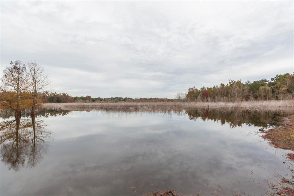 12628 Fort King Road Dade City, FL 33525 - Photo 38 of 59 a view of a lake with a city