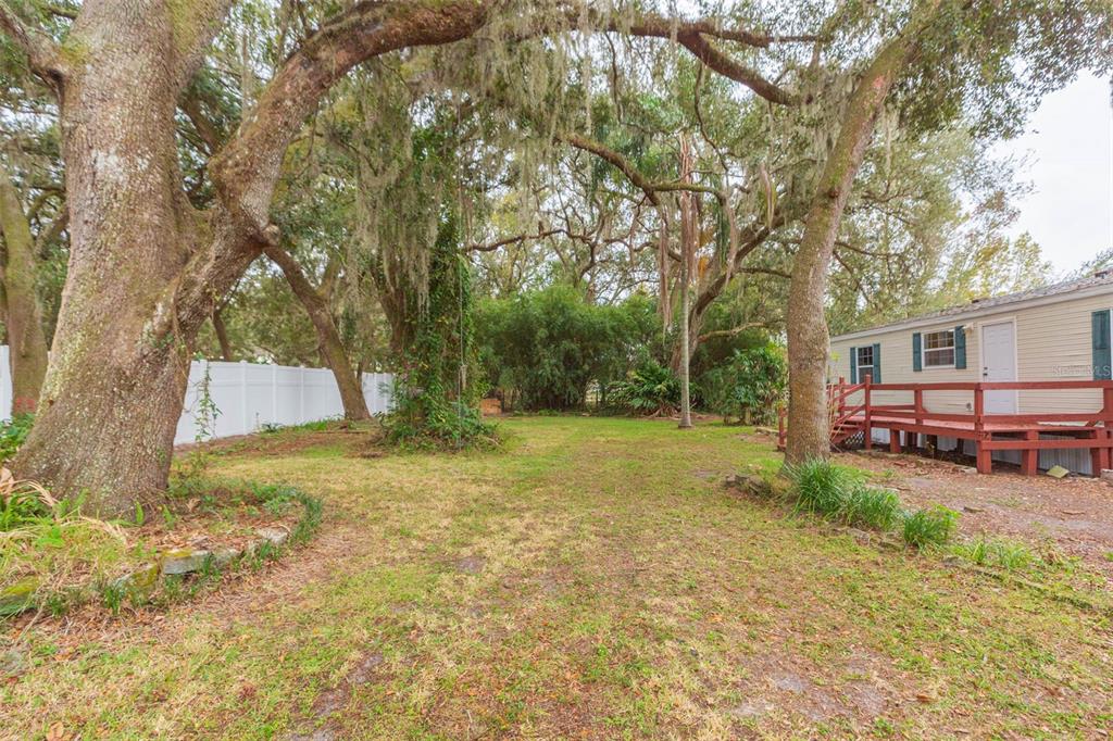 12628 Fort King Road Dade City, FL 33525 - Photo 45 of 59 a view of a yard with large tree
