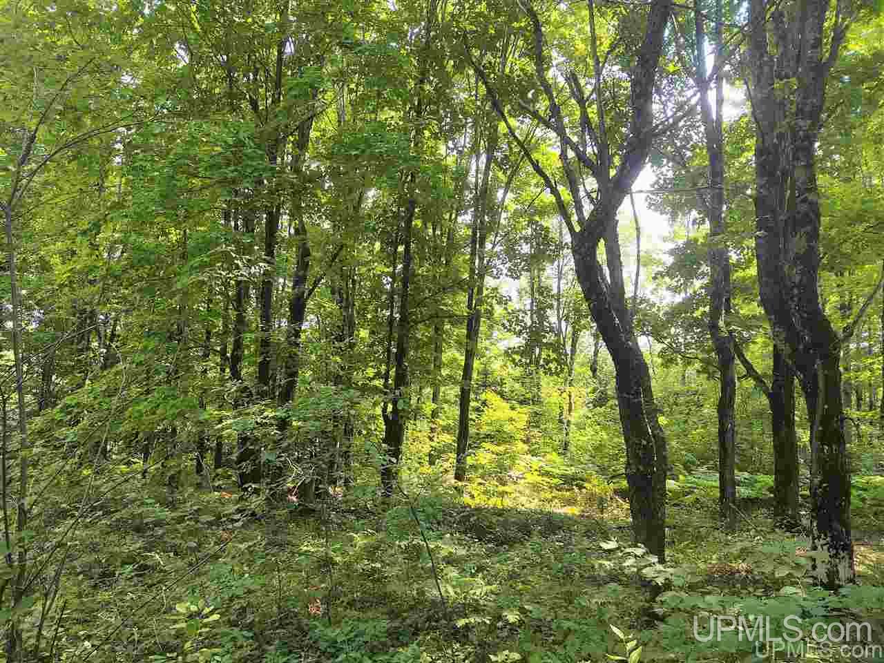 Tbd Connors Road Iron River, MI 49935 - Photo 29 of 34