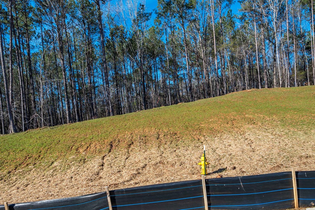 8422 Ripple Ridge Columbus, GA 31904 - Photo 15 of 50