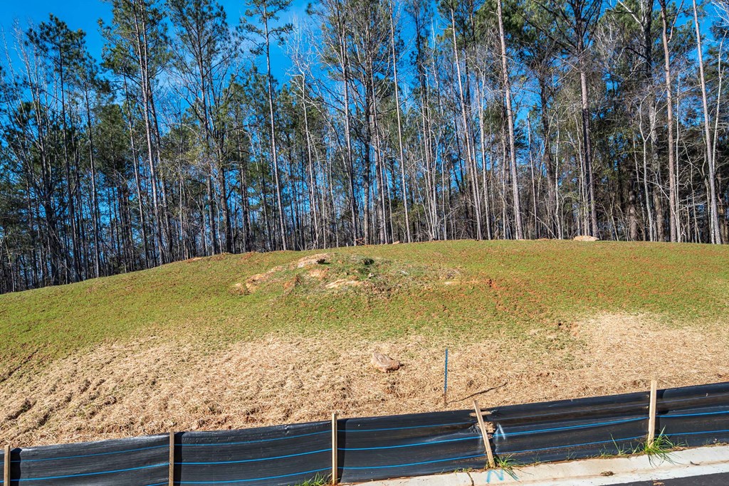 8422 Ripple Ridge Columbus, GA 31904 - Photo 16 of 50