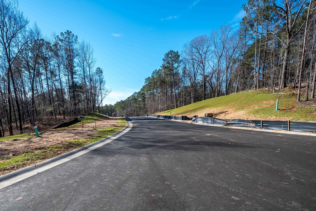 8422 Ripple Ridge Columbus, GA 31904 - Photo 21 of 50