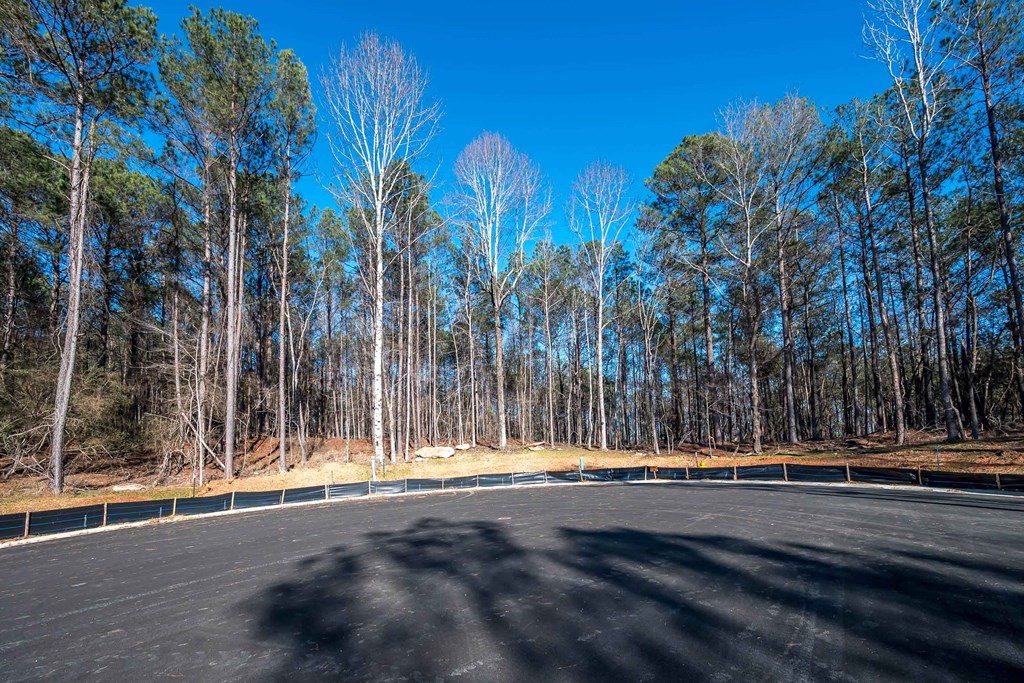 8422 Ripple Ridge Columbus, GA 31904 - Photo 23 of 50