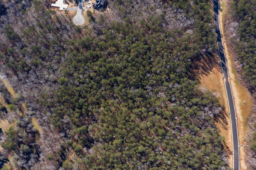 8422 Ripple Ridge Columbus, GA 31904 - Photo 33 of 50