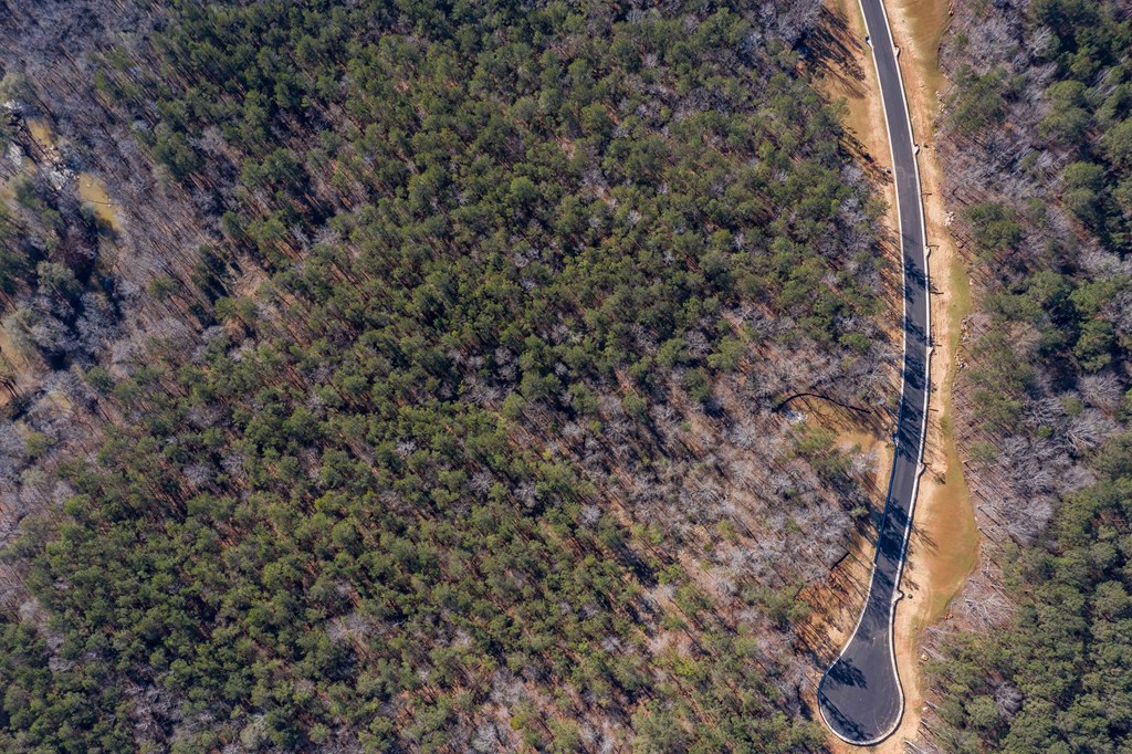 8422 Ripple Ridge Columbus, GA 31904 - Photo 34 of 50