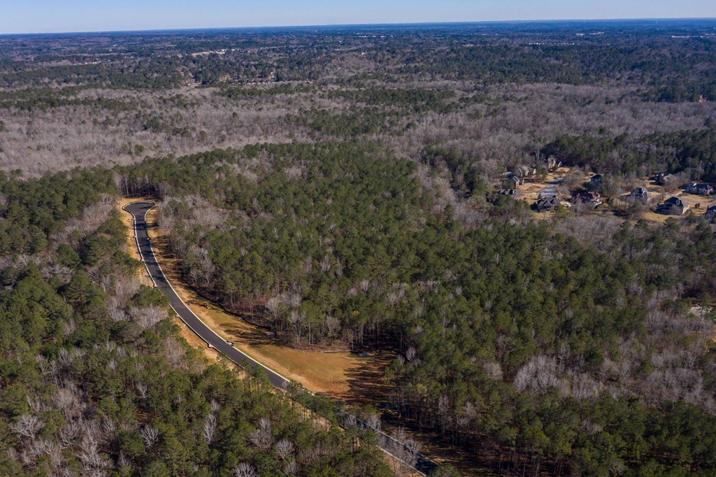 8422 Ripple Ridge Columbus, GA 31904 - Photo 43 of 50