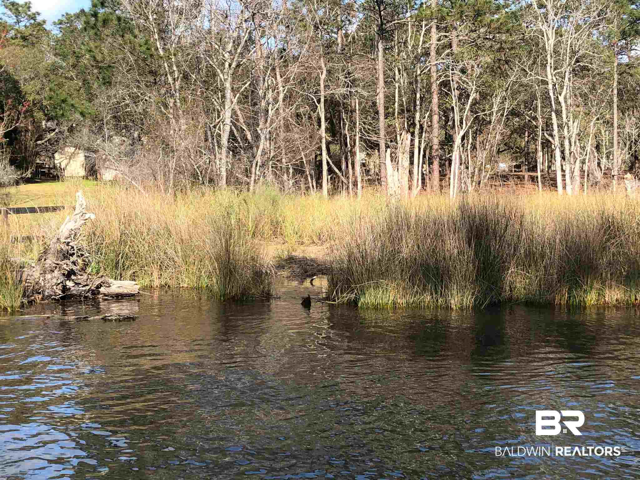 Lot 5 North Bayou Road Lillian, AL 36549 - Photo 2 of 11 Back of Lot 5 water side