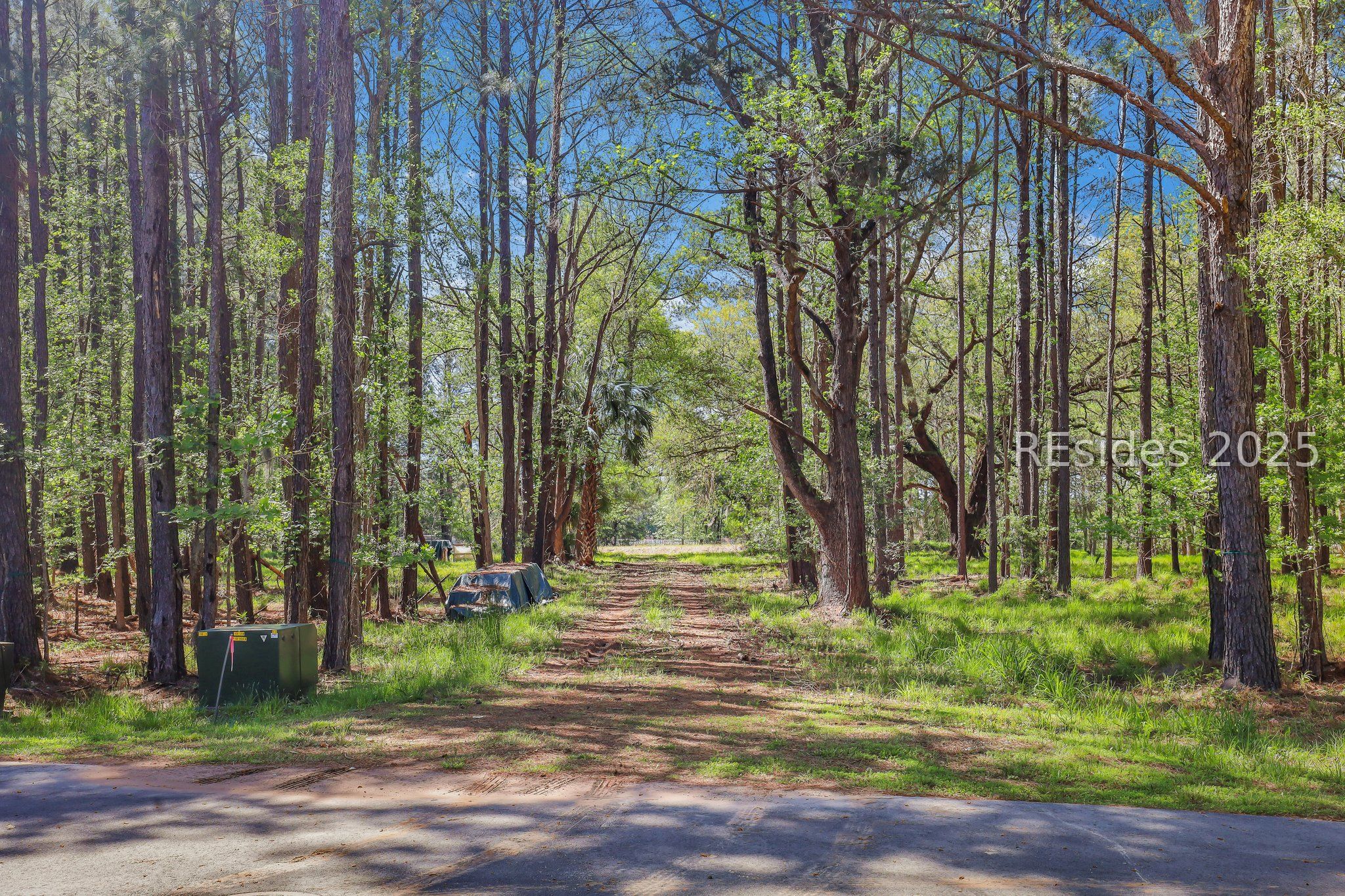 174 Bridal Path Boulevard Hardeeville, SC 29927 - Photo 2 of 9 Underground Utilities visible on the left