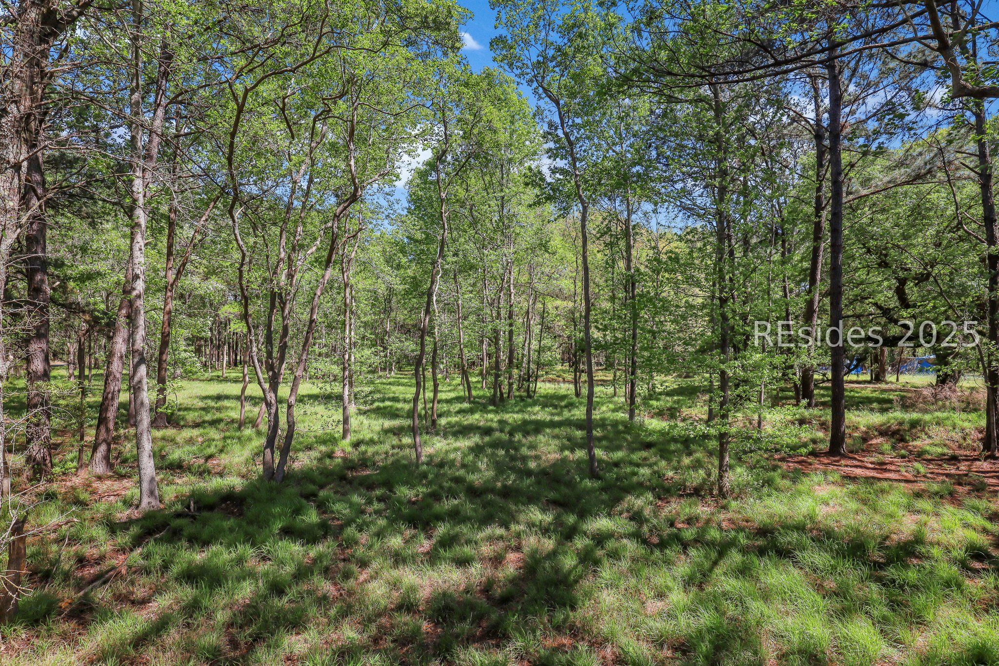 174 Bridal Path Boulevard Hardeeville, SC 29927 - Photo 5 of 9