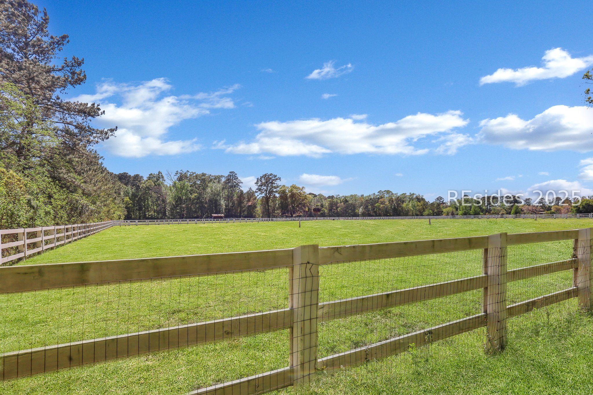 174 Bridal Path Boulevard Hardeeville, SC 29927 - Photo 6 of 9 SCAD paddocks adjoin the rear of the acreage