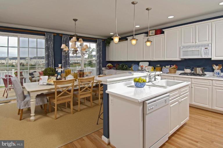 9009 Ribbon Falls Loop Bristow, VA 20136 - Photo 5 of 28 Kitchen #2