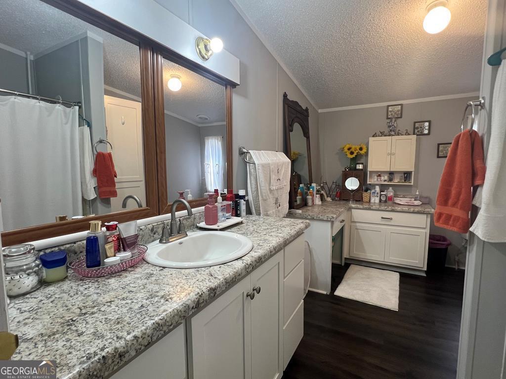 166 Pebble Hills Road Cochran, GA 31014 - Photo 15 of 21 a bathroom with a granite countertop sink and a mirror
