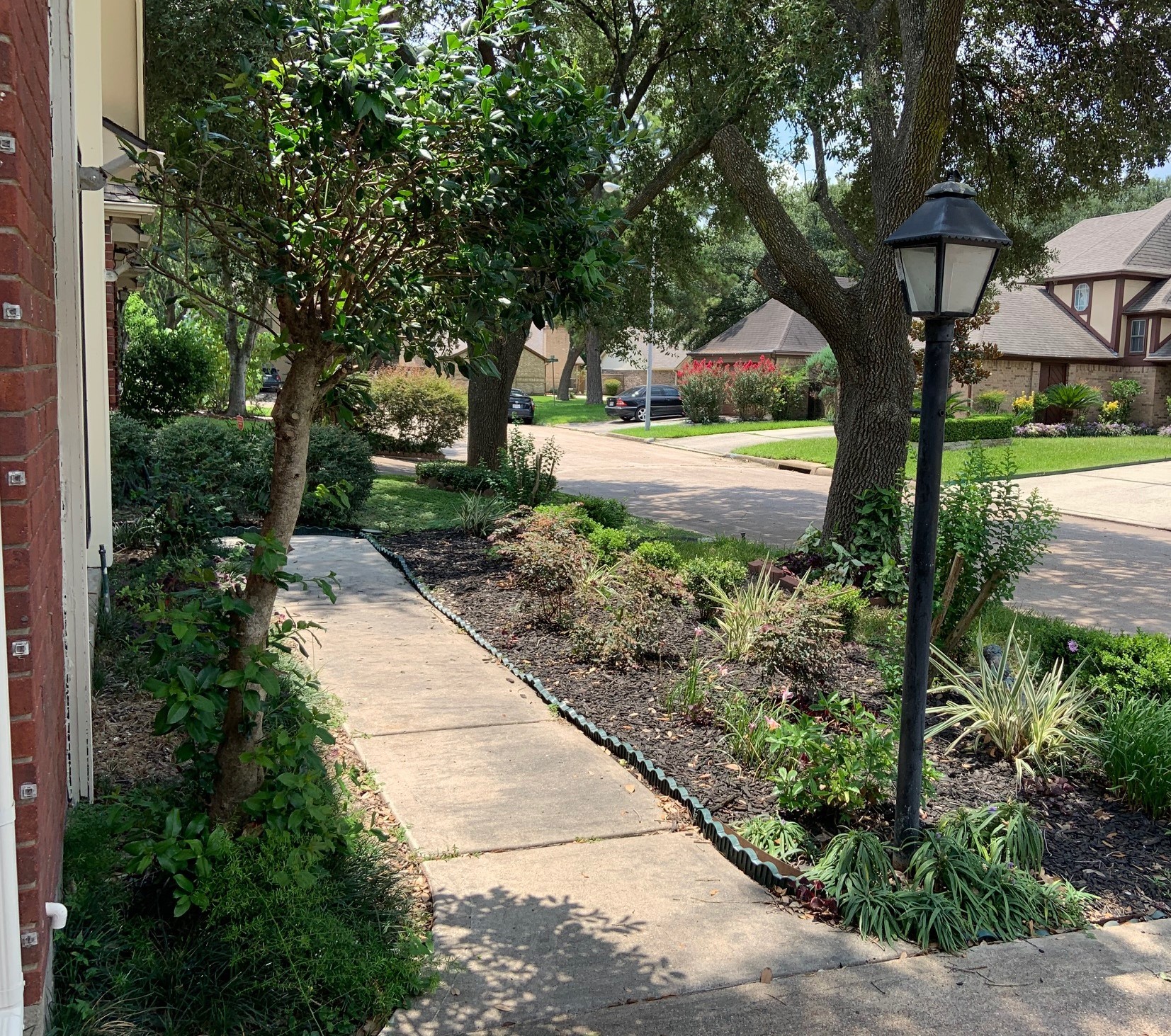 8418 Westnut Lane Houston, TX 77040 - Photo 12 of 13 a view of a garden with large trees