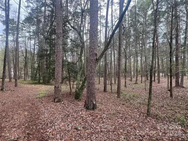 $28,500 | 123 Coggins Mine, Unit NONE, New London, NC 28127