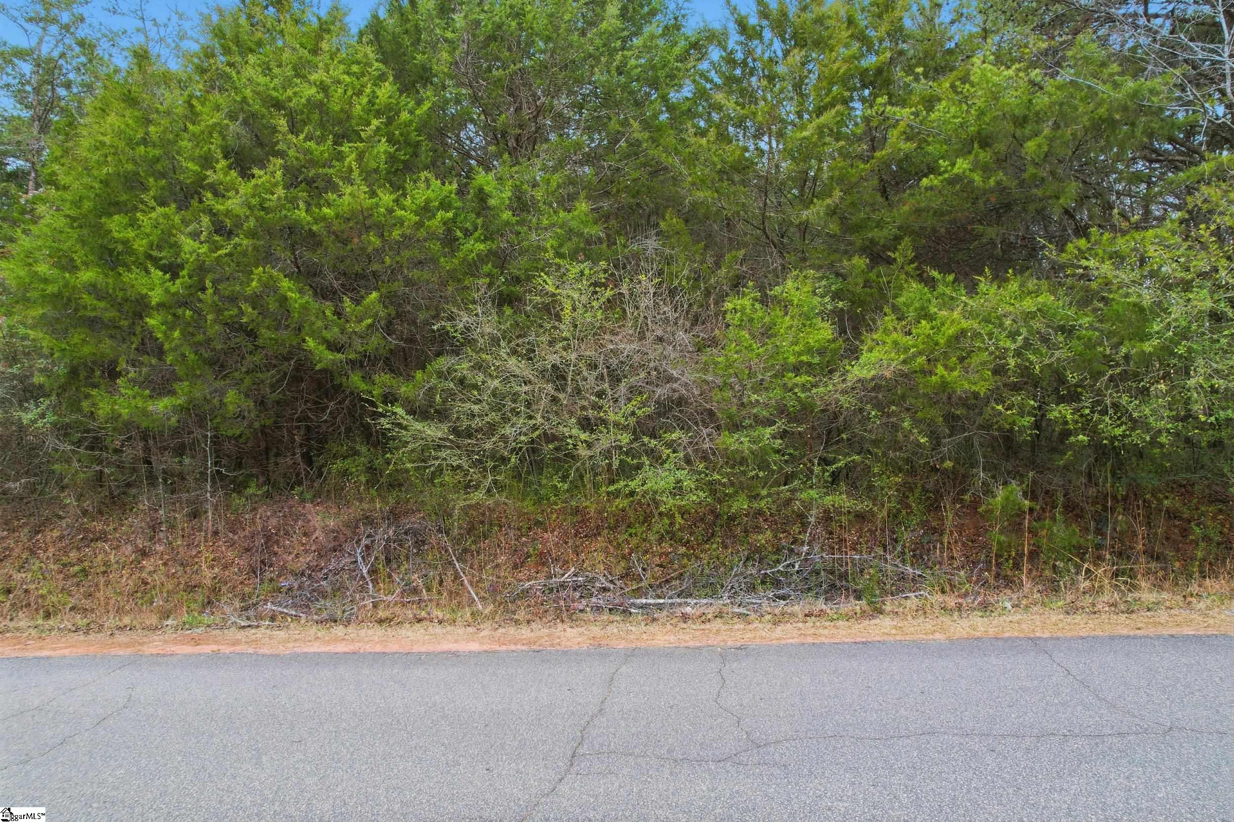 0 Hulon Howard Road Landrum, SC 29356 - Photo 3 of 20 Gallery Image 3