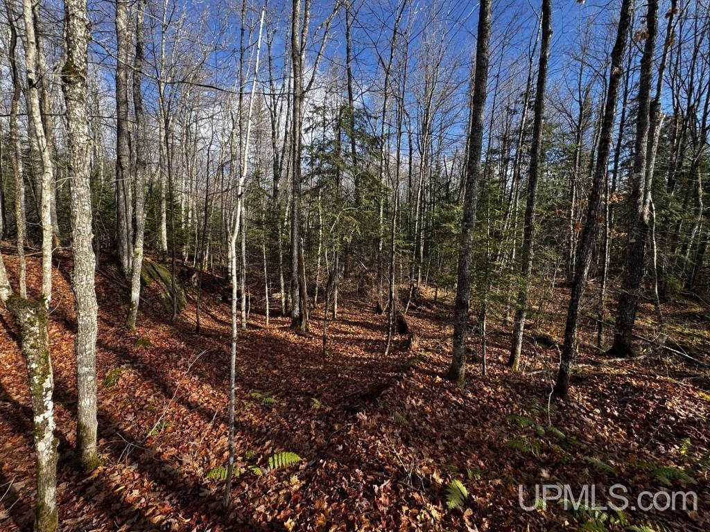 Tbd Tbd Herman Nestoria Road Lanse, MI 49946 - Photo 21 of 25