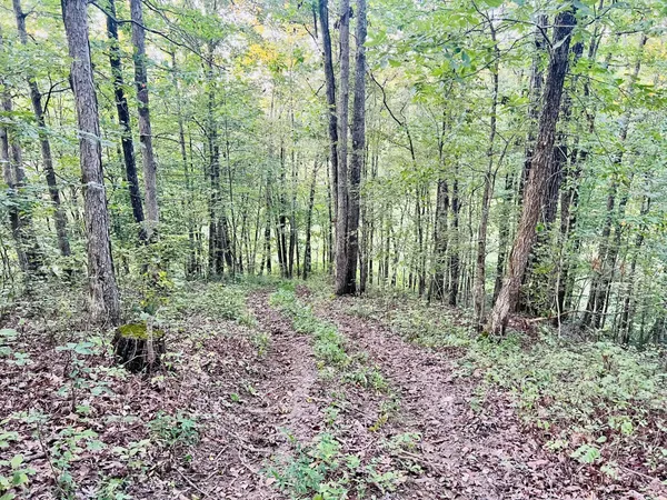 $75,000 | 545 Deepwood Drive, Waverly, TN 37185