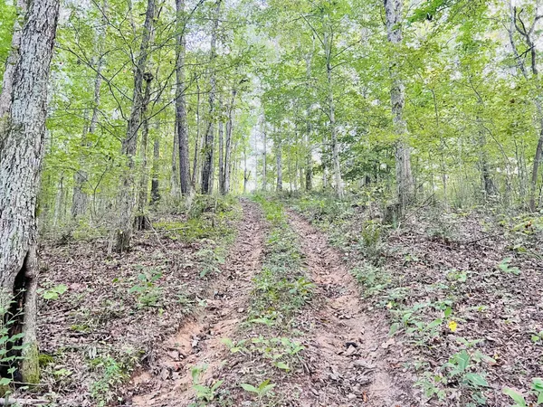 $75,000 | 545 Deepwood Drive, Waverly, TN 37185