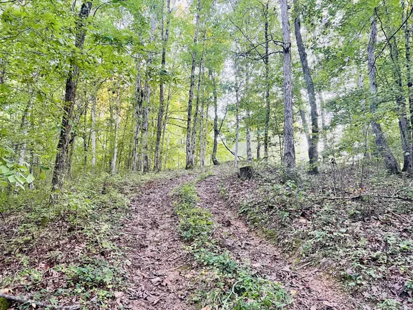 $75,000 | 545 Deepwood Drive, Waverly, TN 37185