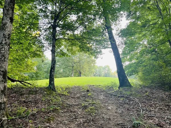 $75,000 | 545 Deepwood Drive, Waverly, TN 37185
