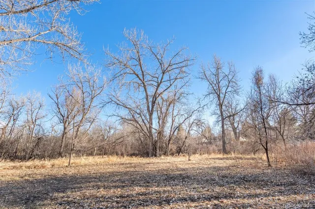 a view of dirt yard and a large tree