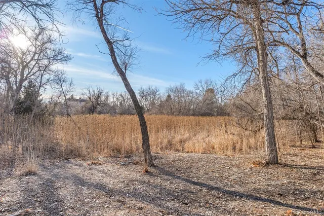 a view of a backyard of a house