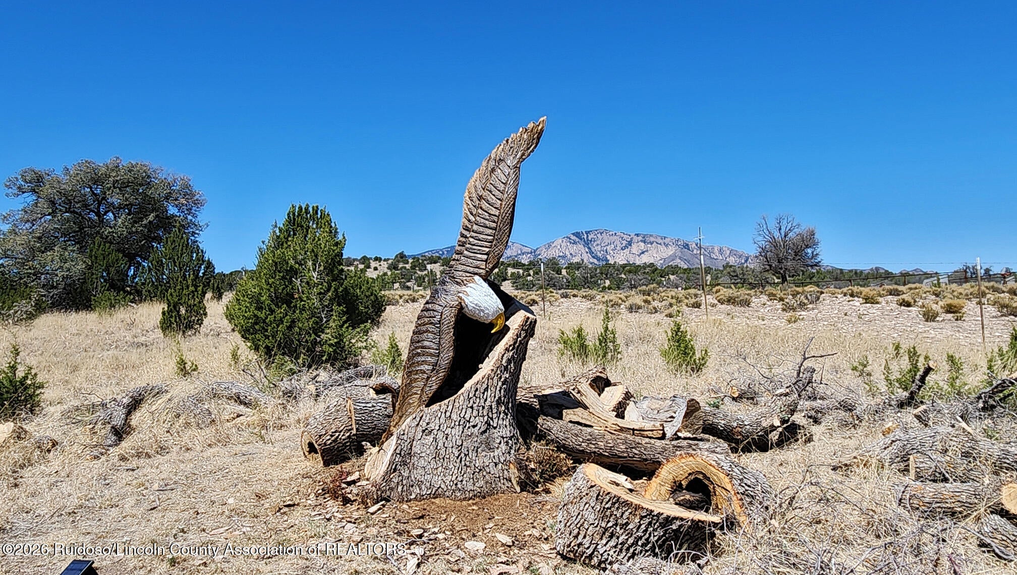 1334 Arabela Road Tinnie, NM 88351 - Photo 83 of 164 Gallery Image 83