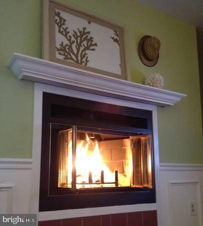 16 Andrew Place, Unit R122 Baltimore, MD 21201 - Photo 4 of 30 Woodburning Fireplace