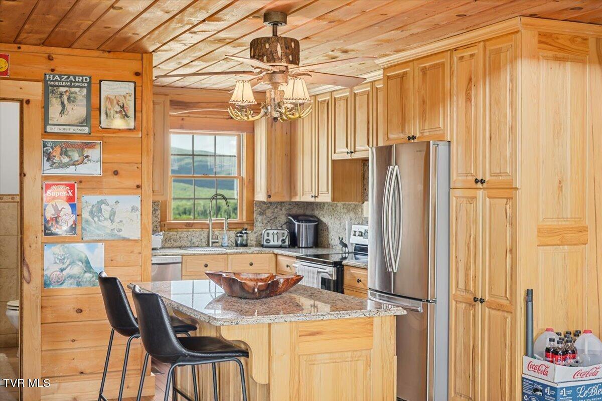 490 Mountain Springs Road Tannersville, VA 24377 - Photo 13 of 48 37-128A0230