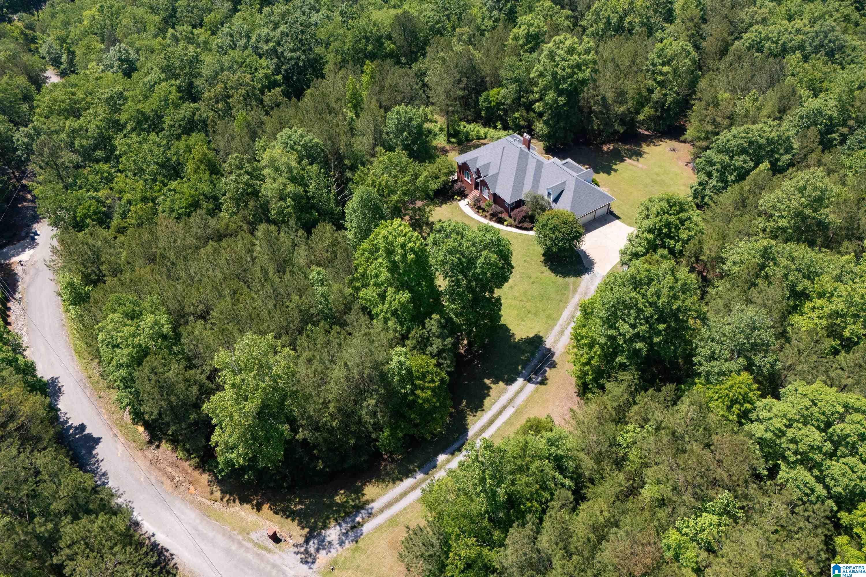 175 Sunhill Road Remlap, AL 35133 - Photo 5 of 72 Gallery Image 5