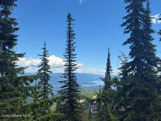 Nna Tall Timber Road Sandpoint, ID 83864 - Photo 2 of 10 4