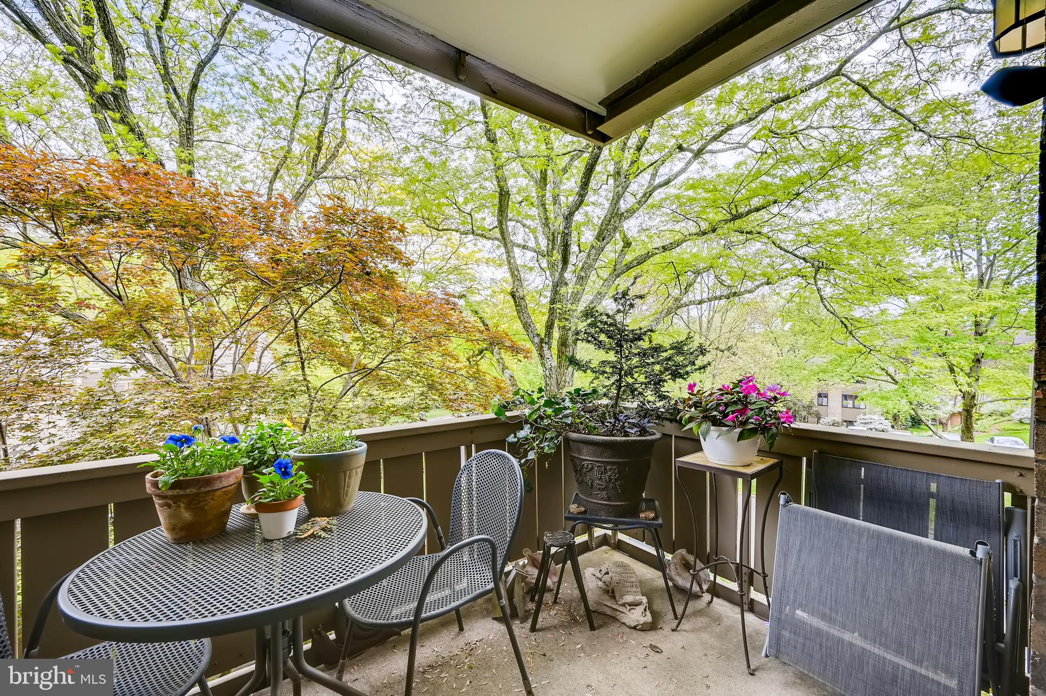 112 Cross Keys Road, Unit R112D Baltimore, MD 21210 - Photo 17 of 17 ahhh! the beauty of spring