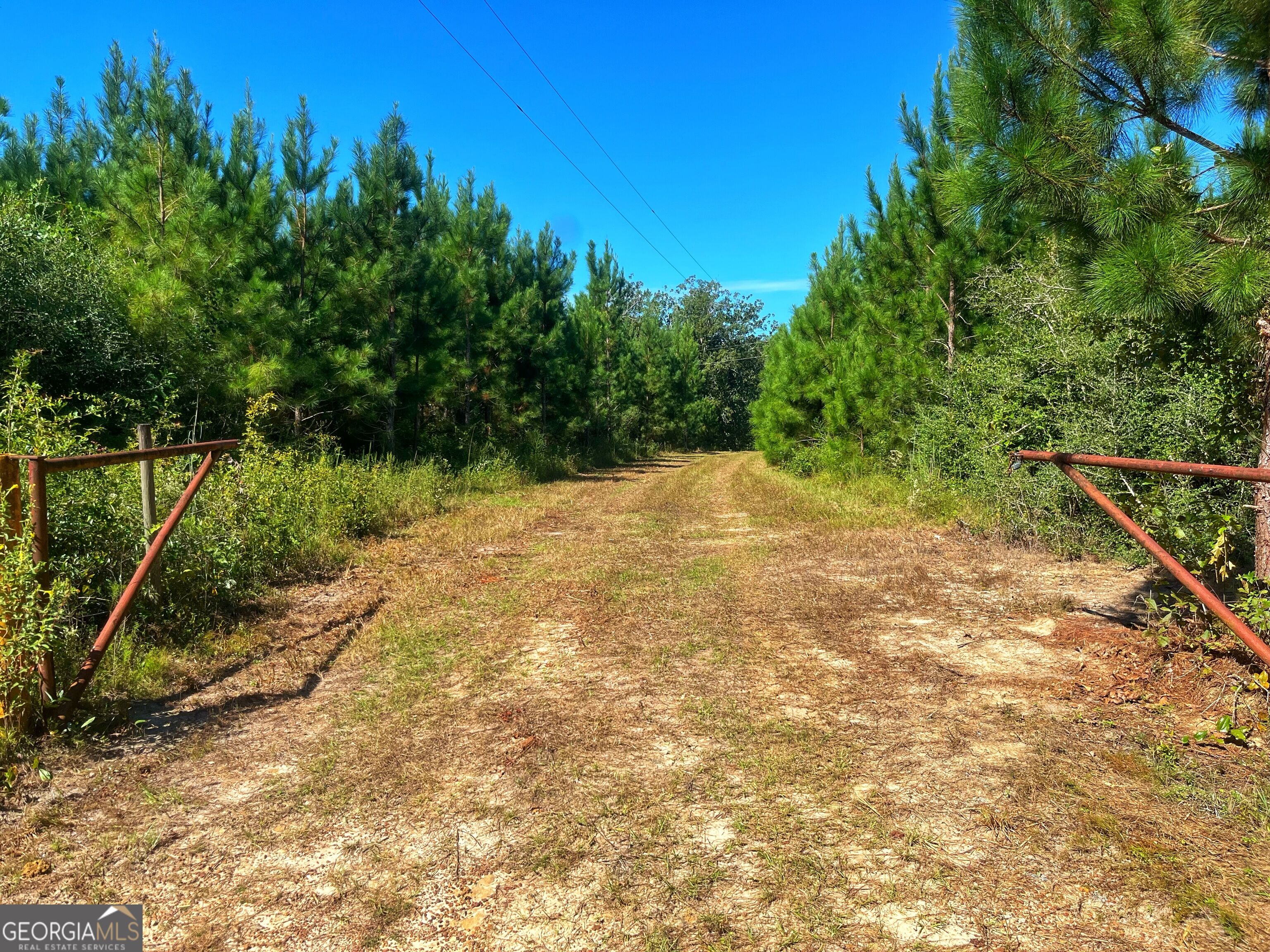 490 Murray Road Bainbridge, GA 39819 - Photo 44 of 67 Gallery Image 44