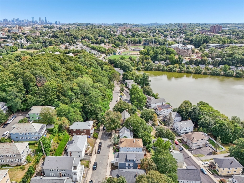 32 Larch Street, Unit 32 Boston, MA 02135 - Photo 37 of 42