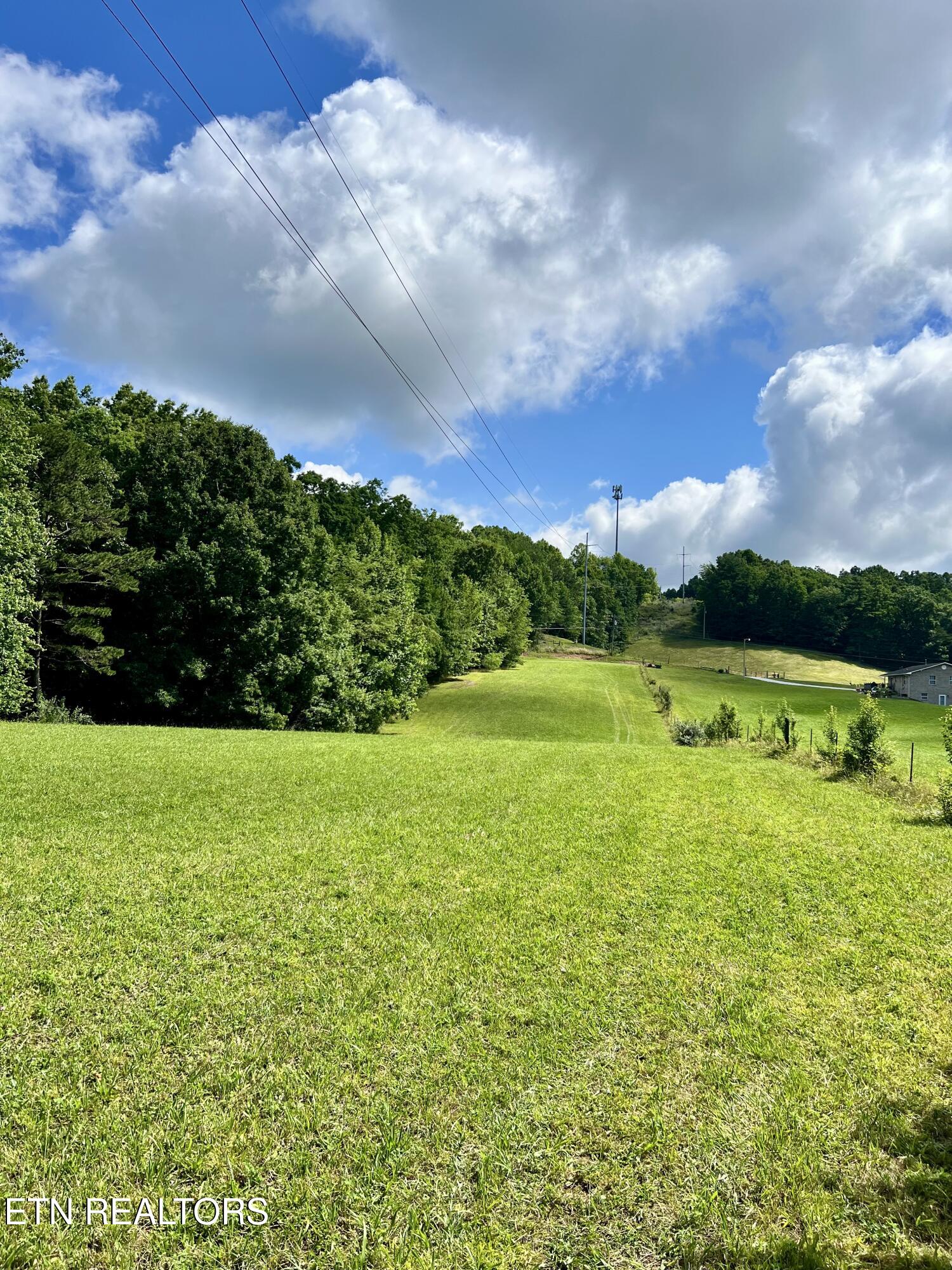 Eli Lane Oneida, TN 37841 - Photo 1 of 10 IMG_0408