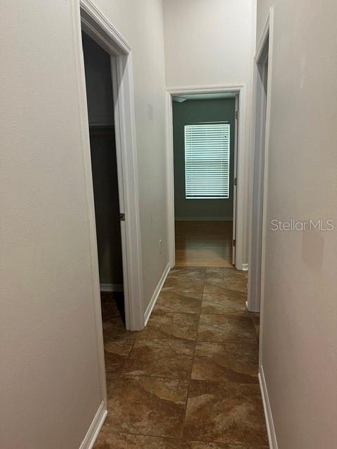 8144 Sanguinelli Road Land O Lakes, FL 34637 - Photo 17 of 18