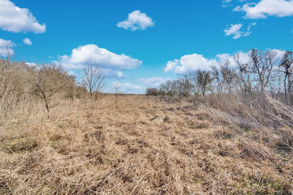 Tbd White Rock Road Italy, TX 76651 - Photo 2 of 24 a view of a dry yard
