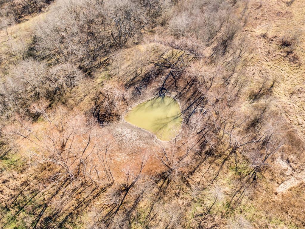 Tbd White Rock Road Italy, TX 76651 - Photo 22 of 24 a view of a yard with lots of bushes