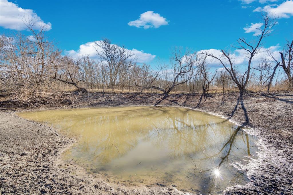 Tbd White Rock Road Italy, TX 76651 - Photo 4 of 24