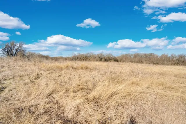 a view of a yard with large trees